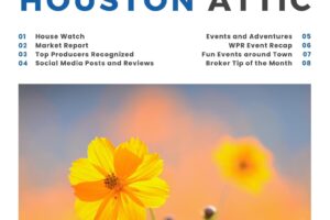 The Houston Attic | Issue #14
